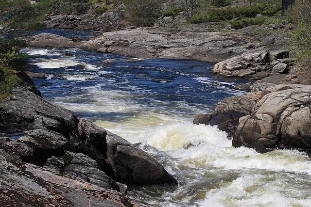 État des lieux : analyse des chutes darbres et leur répercussion sur lenvironnement