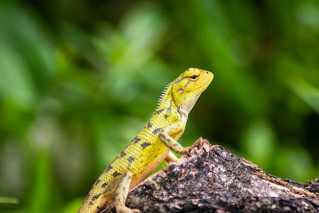 Réflexions sur les adaptations urbaines face aux aléas climatiques