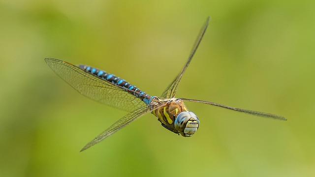 Perspectives damélioration des mécanismes dexpulsion pour une meilleure coopération