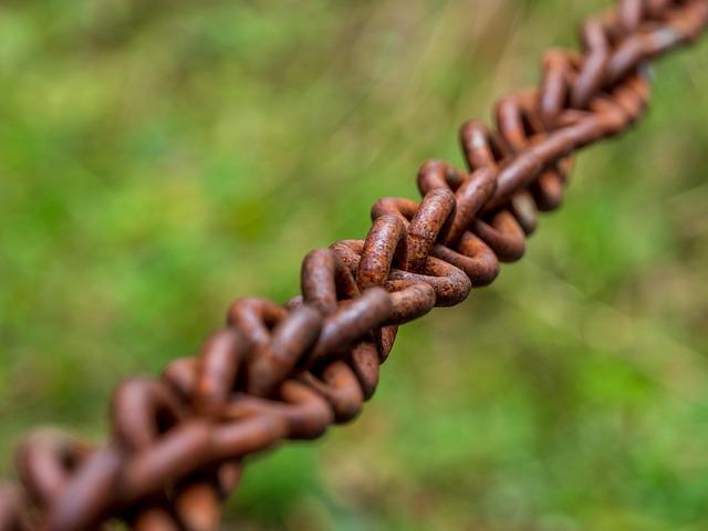 Applications pratiques : stimuler la connexion cérébrale chez le nourrisson