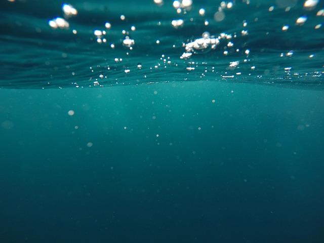Éducation et sensibilisation : Renforcer la connaissance de l’Océan auprès des nouvelles générations