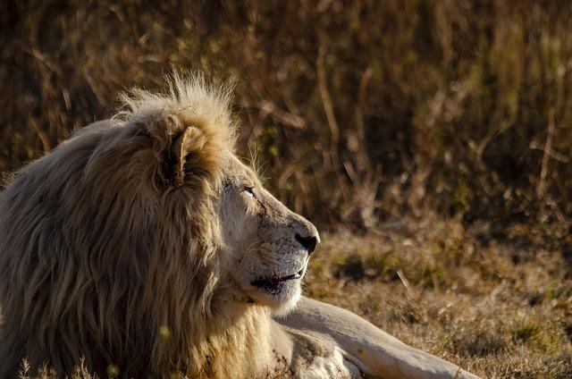 Les succès français au Cannes Lions 2024 en Film Craft