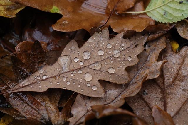 Activités à privilégier sous un ciel pluvieux : conseils et suggestions