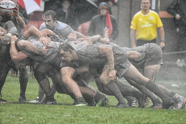 Perspectives davenir pour​ le développement du touch‍ rugby mixte en France