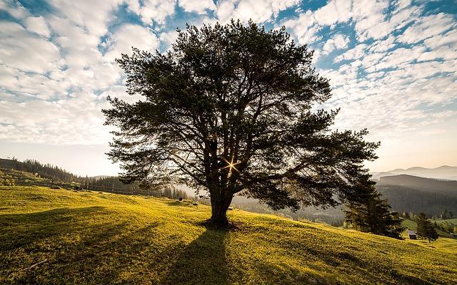 Activités recommandées pour profiter ⁣des jours gris