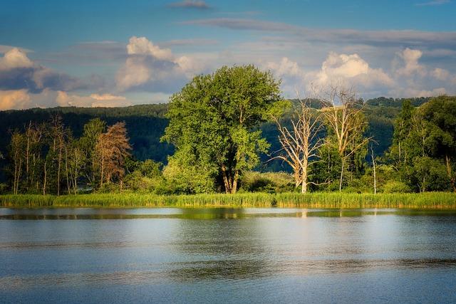 Ambiance et Atmosphère : Préparer un Public Passionné