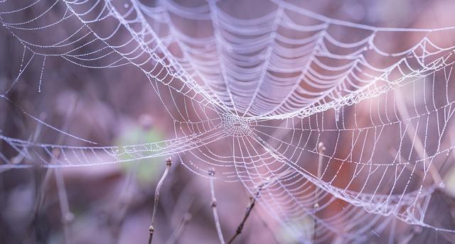 Analyse de lEP Silk : une fusion audacieuse de genres