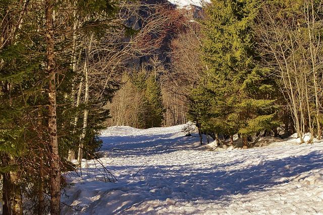 Lanalyse des zones à risque sismique