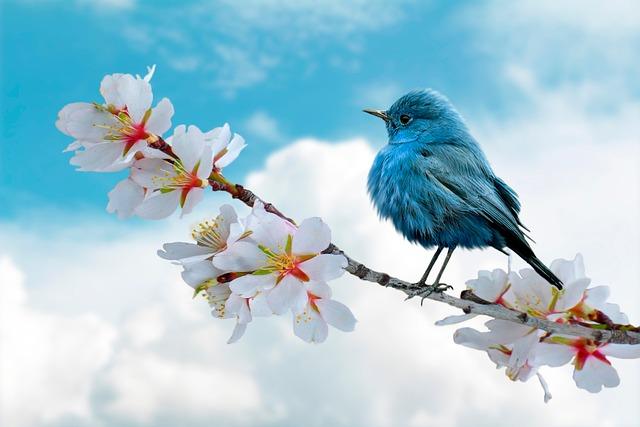 Linfluence de la nature sur lœuvre de Lucrèce