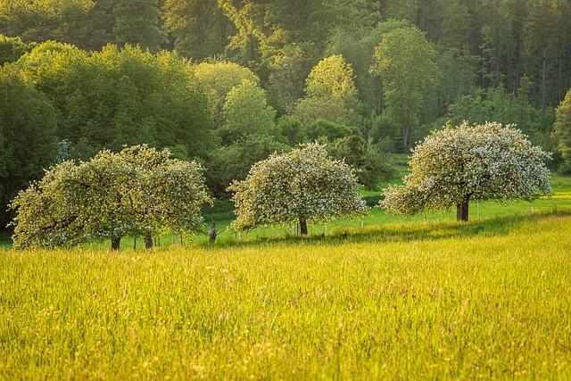 Les essences darbres adaptées aux jardins urbains : choisir avec soin