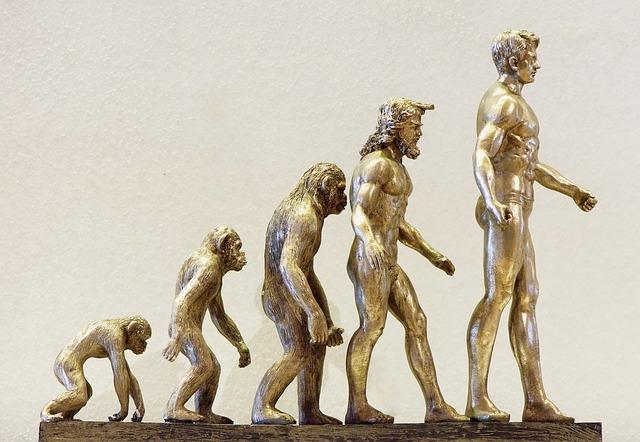 Évolutions et adaptations : les stratégies adoptées par les commerces ouverts