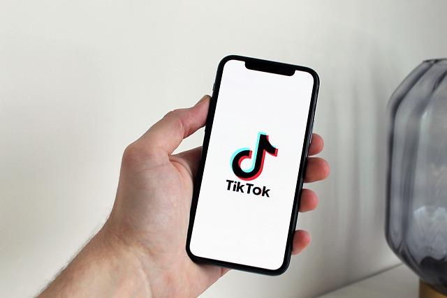 Vers une régulation : recommandations pour un usage raisonné de TikTok