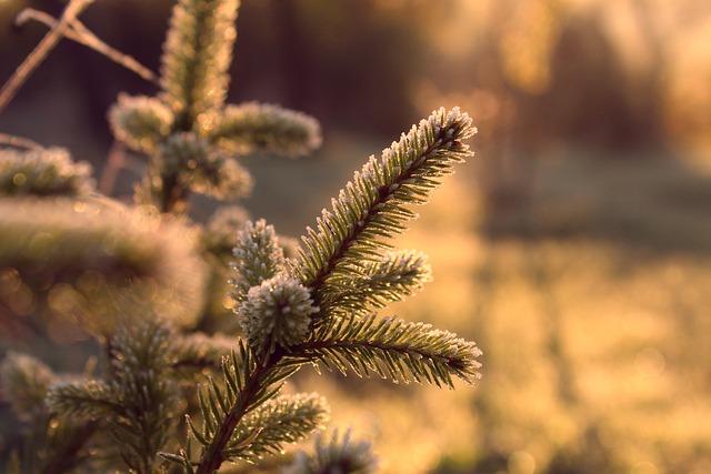 Écologie et environnement : les facteurs influençant lalimentation