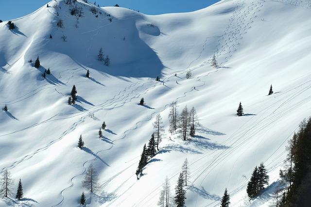 Comment sinitier au ski-alpinisme : conseils pratiques et sécurité