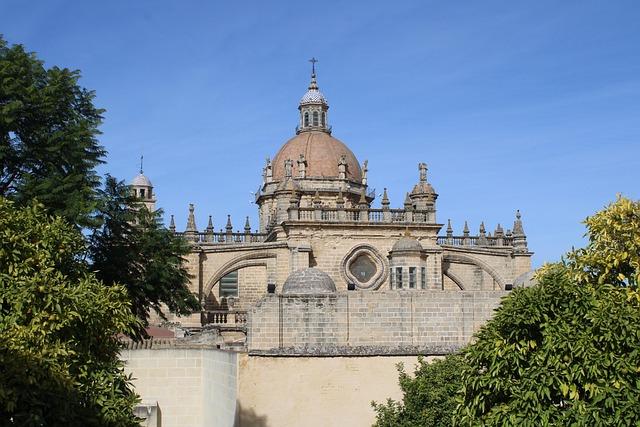 Comprendre limportance de la courbure de la colonne vertébrale