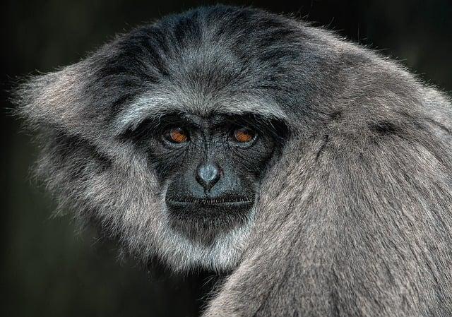 Disparition d’Axel : un mystère qui trouble Nantes