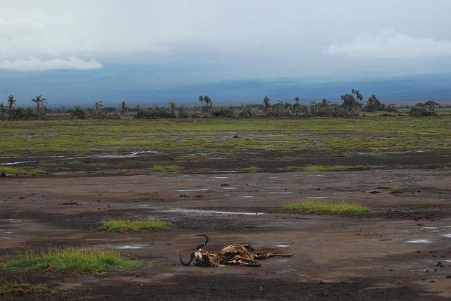 Un constat alarmant face à une crise climatique croissante