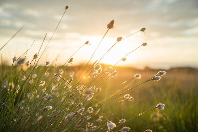 Favoriser un environnement professionnel inclusif pour redonner le⁢ goût de lengagement