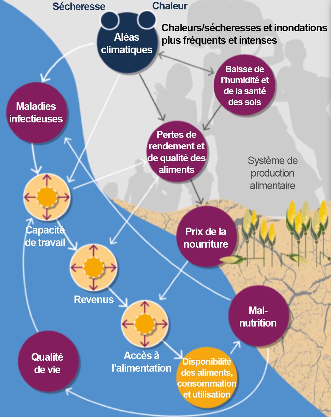 Impact sur la vie quotidienne : conseils pratiques pour affronter le changement