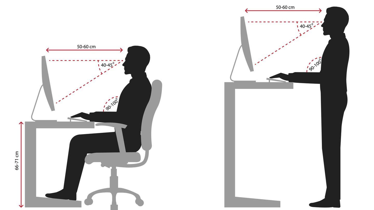 Vers une meilleure ergonomie grâce à la recherche neurobiologique