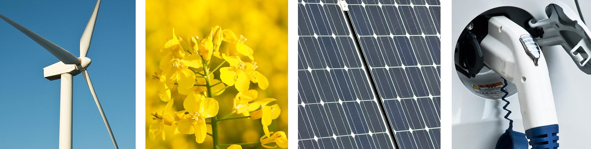 Les enjeux énergétiques : vers une transition durable des infrastructures