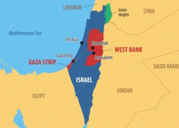 Rassemblement pour la Palestine à Lyon – Association France Palestine Solidarité