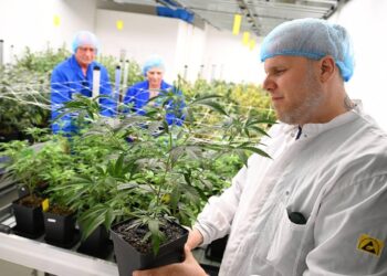 France – Nice: à destination de la Tunisie, 760 kg de cannabis et d’ecstasy saisis – tunisienumerique.com