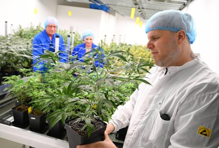 France – Nice: à destination de la Tunisie, 760 kg de cannabis et d’ecstasy saisis – tunisienumerique.com