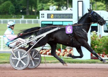 Un évènement phare à Mexico…le Grand Prix VIE Amériques 2025 – Lepetitjournal.com
