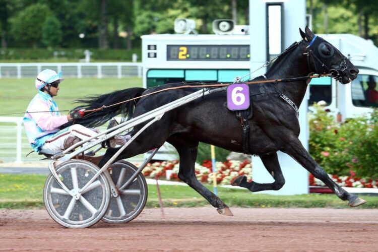 Un évènement phare à Mexico…le Grand Prix VIE Amériques 2025 – Lepetitjournal.com Un évènement phare à Mexico…le Grand Prix VIE Amériques 2025 – Lepetitjournal.com