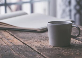 Champions Cup. Damien Penaud égale un record historique avec l’Union Bordeaux Bègles – Ouest-France