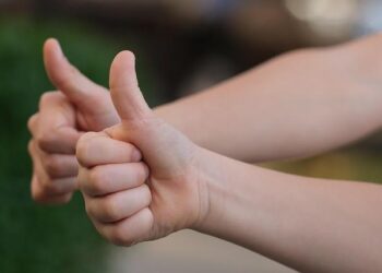 Multiplication des haies, création de mares… Paris vote un nouveau plan biodiversité pour préserver une faune sauvage en déclin – France 3 Régions