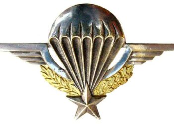 Haute-Garonne : un parachutiste suspendu à la structure du Stadium de Toulouse – France Info