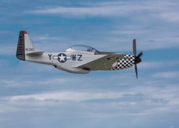 P!NK est de retour ! – Sony Music Entertainment France