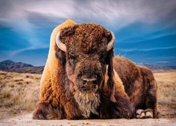 Que prévoit Bison Futé pour ce premier week-end des vacances de printemps à Paris et en Île-de-France ? – Actu.fr