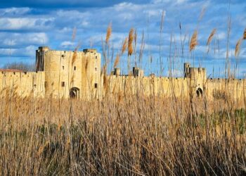 Un homme retrouvé mort dans le local poubelles d’une résidence de Toulouse – Ouest-France