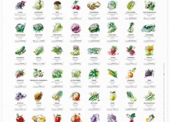 Les Meilleurs Fruits et Légumes de Printemps à Déguster en Occitanie !