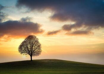 Discover the Hottest New Singles from Marguerite, Addison Rae, Gapman, and More!