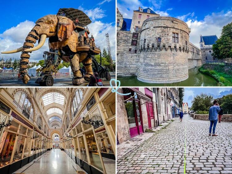 Un Nouveau Chapitre à Nantes : La Maison Baron-Lefèvre Tire sa Révérence, un Potager City Prend Vie ! Un Nouveau Chapitre à Nantes : La Maison Baron-Lefèvre Tire sa Révérence, un Potager City Prend Vie !