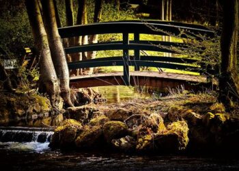 Boosting Business: Essential Support for a Greener Transition