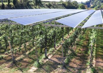 Unlocking the Future of Agrivoltaics: Eric Elbaz and Cero Generation Lead the Charge in France