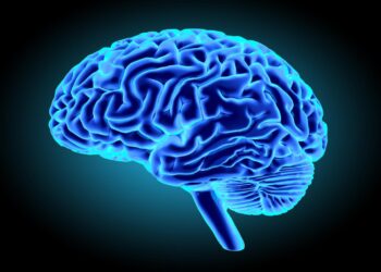 Offrez Votre Cerveau à la Science : Un Acte de Solidarité pour Faire Avancer la Recherche !