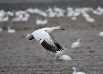 Experience the Sonic Journey of Kamasi Washington&rsquo;s &lsquo;Vortex