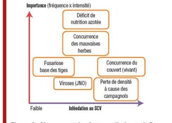 Des soirées libertines révélées comme des scènes de viols collectifs et de barbarie