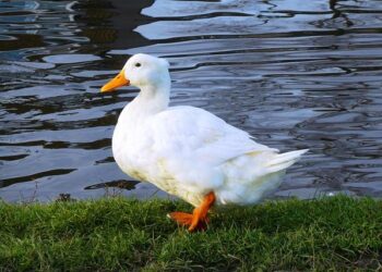 Major Drug Bust: Marseille Prosecutor Warns of Life Sentences for Key Arrests!