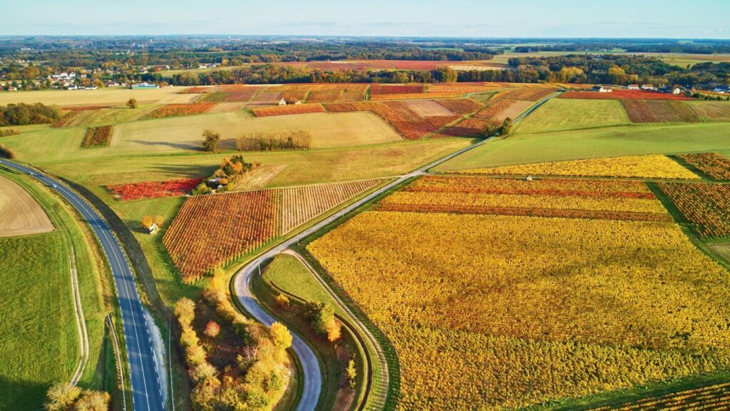 Qui Tire Profit des Terres Agricoles en France ? Découvrez les Enjeux Cachés !