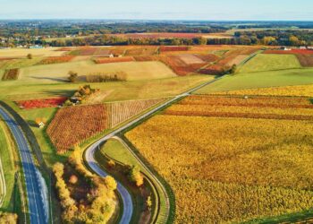 Qui Tire Profit des Terres Agricoles en France ? Découvrez les Enjeux Cachés !