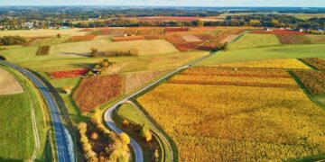 Qui Tire Profit des Terres Agricoles en France ? Découvrez les Enjeux Cachés !