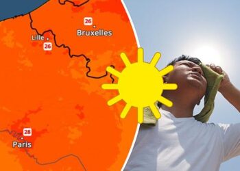 Marseille Sizzles: Brace for an Unprecedented Heatwave!