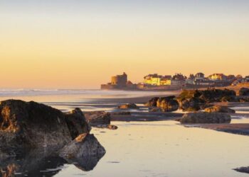 Discover Oakâme: Elevate Your Space with Exquisite High-End Wooden Furniture!